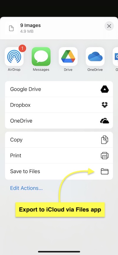 Save to files app option.